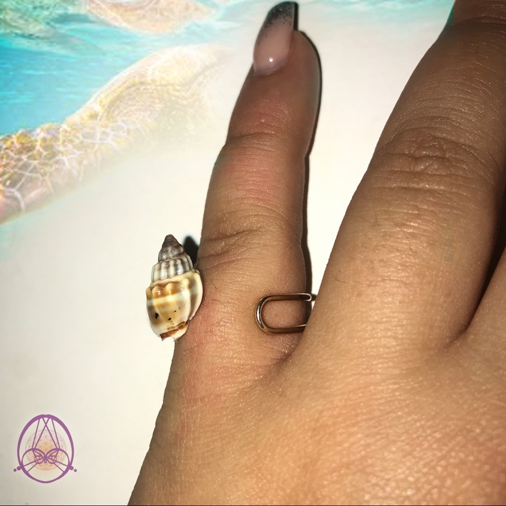 Baby Cantharus Seashell Ring